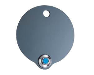 ALL_catalog_25J01_Rdd44biFJq